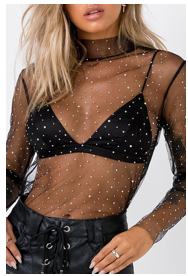Mock Neck Sheer Long Sleeve Top