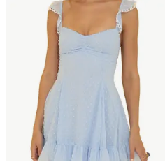 POINTELLE CHIFFON DRESS